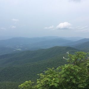 Meet your Posher, Claire